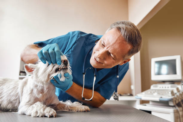 Best Emergency Tooth Extraction in Yuma, CO